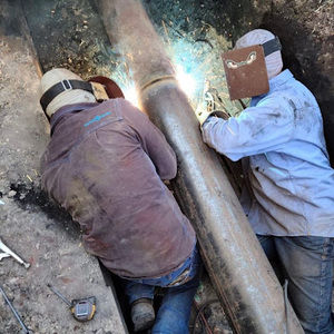 Meet your Posher, Hayden